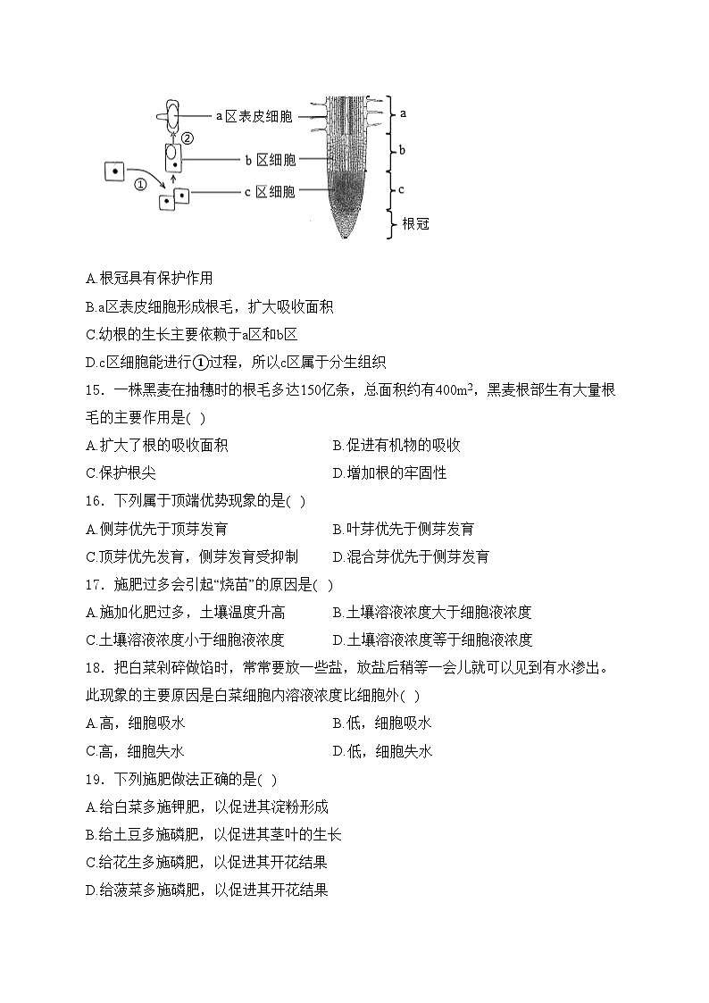 石家庄市第十三中学2024-2025学年八年级上学期10月月考生物试卷第3页