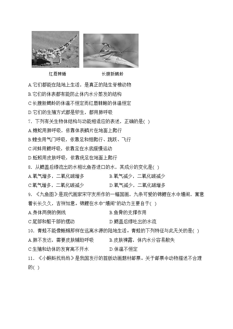 太原师范学院附属中学2024-2025学年八年级上学期10月月考生物试卷(含答案)第2页