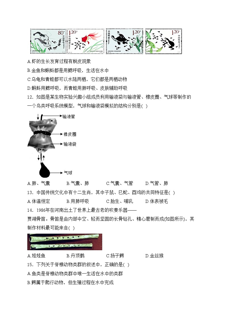 太原师范学院附属中学2024-2025学年八年级上学期10月月考生物试卷(含答案)第3页