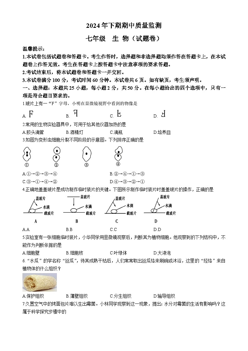 湖南省永州市新田县2024-2025学年七年级上学期期中生物试题第1页