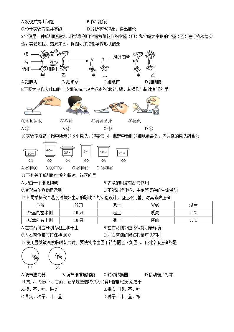 湖南省永州市新田县2024-2025学年七年级上学期期中生物试题第2页