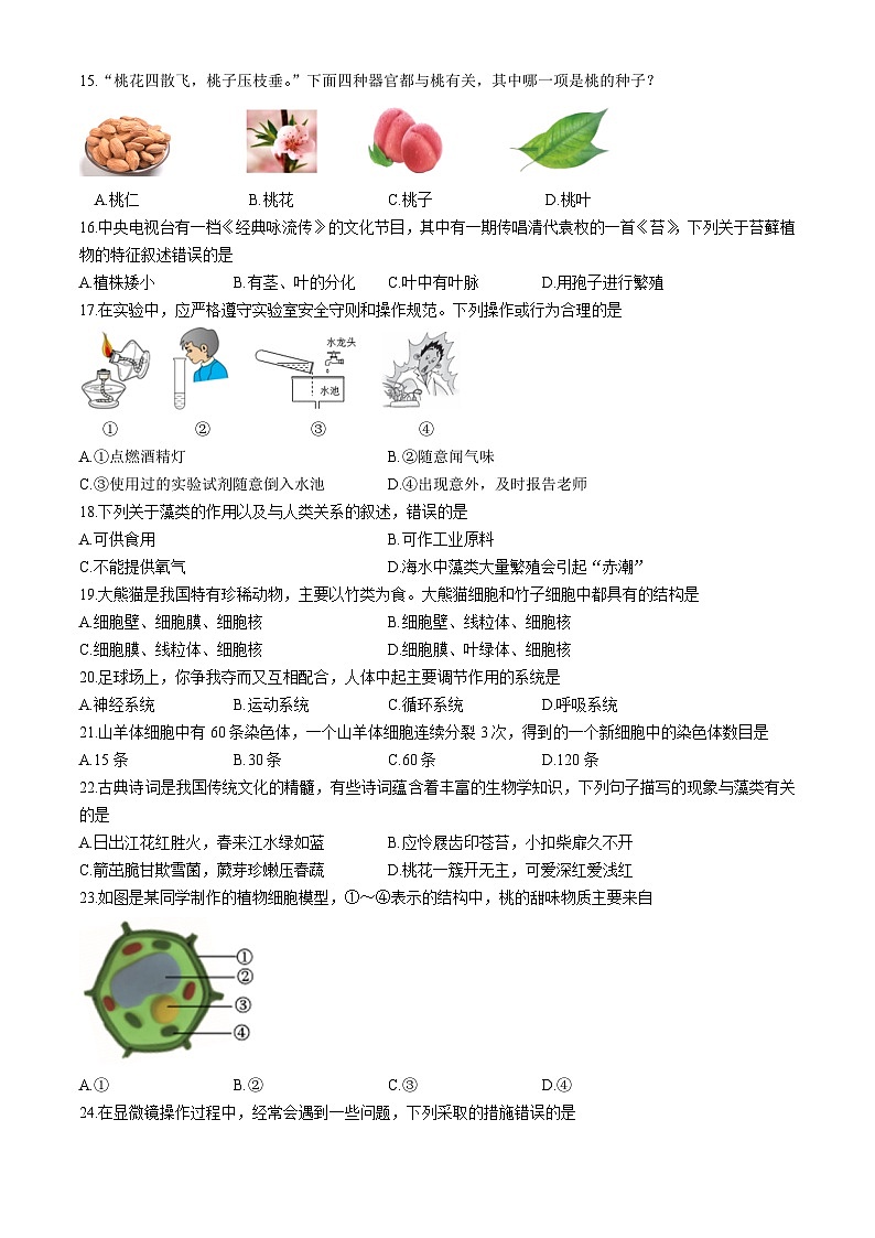 湖南省永州市新田县2024-2025学年七年级上学期期中生物试题第3页