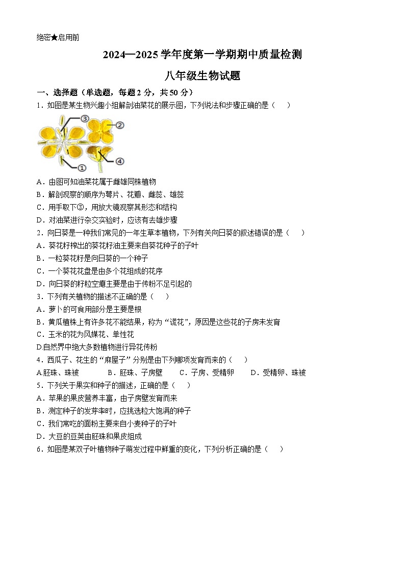 山东省济南市东南片区2024-2025学年八年级上学期期中生物试题第1页