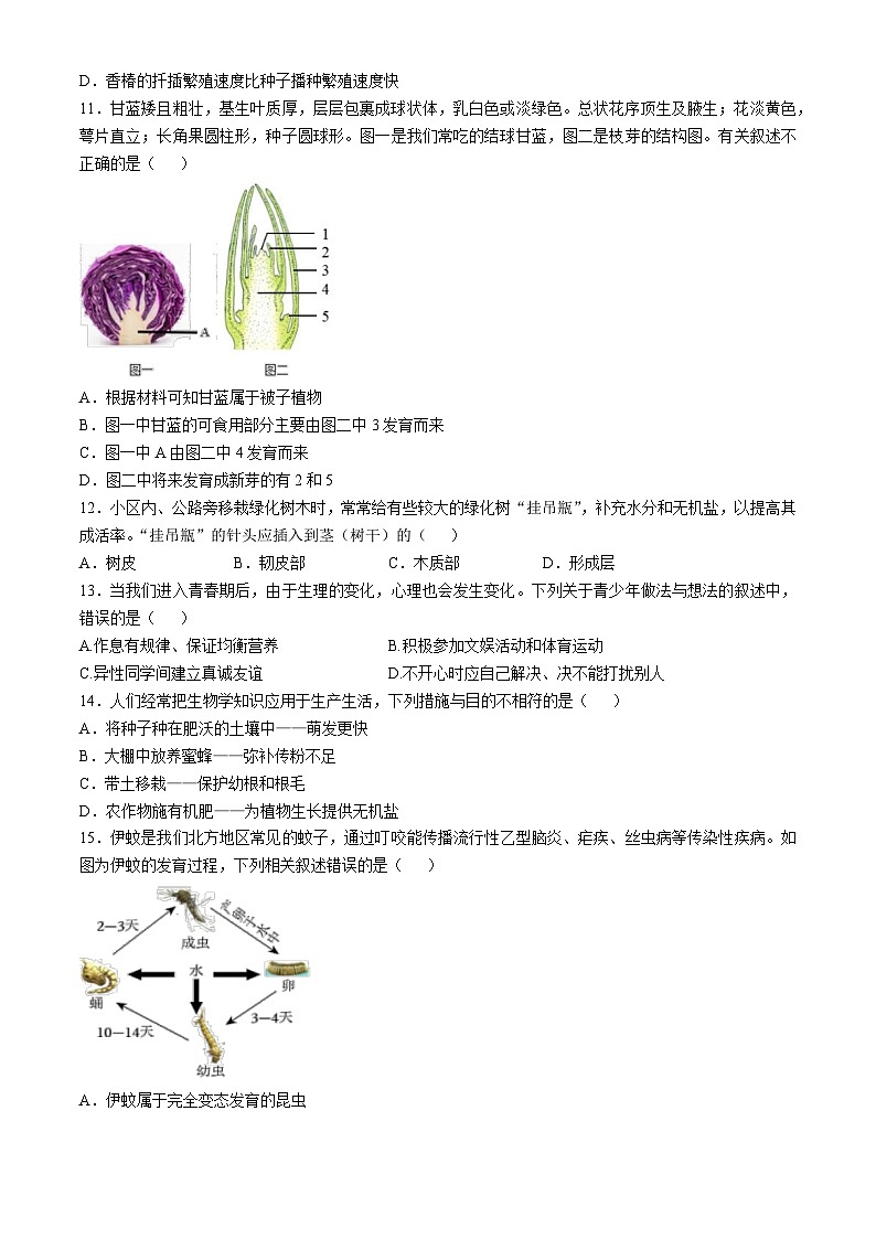 山东省济南市东南片区2024-2025学年八年级上学期期中生物试题第3页