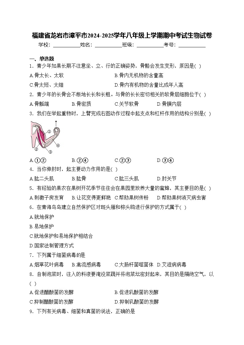 福建省龙岩市漳平市2024-2025学年八年级上学期期中考试生物试卷(含答案)第1页