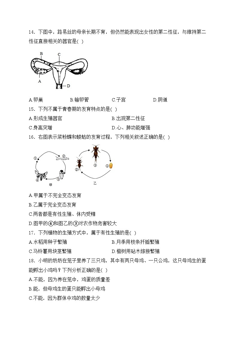 福建省龙岩市漳平市2024-2025学年八年级上学期期中考试生物试卷(含答案)第3页