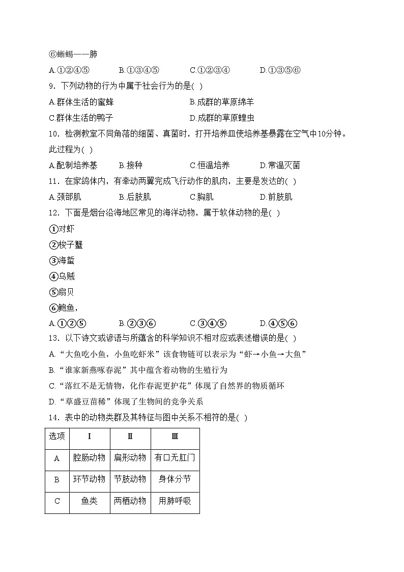 福建省泉州市泉港区2024-2025学年八年级上学期11月期中考试生物试卷(含答案)第2页