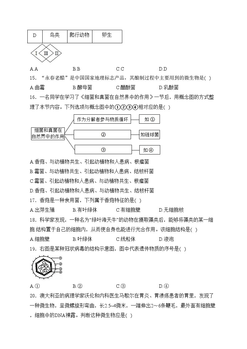 福建省泉州市泉港区2024-2025学年八年级上学期11月期中考试生物试卷(含答案)第3页
