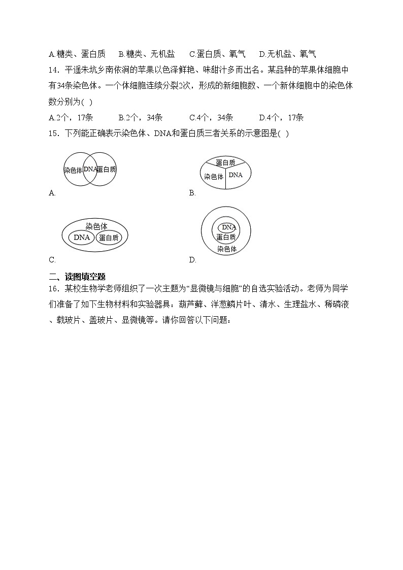 山西现代双语学校南校2024-2025学年七年级10月月考生物试卷(含答案)第3页