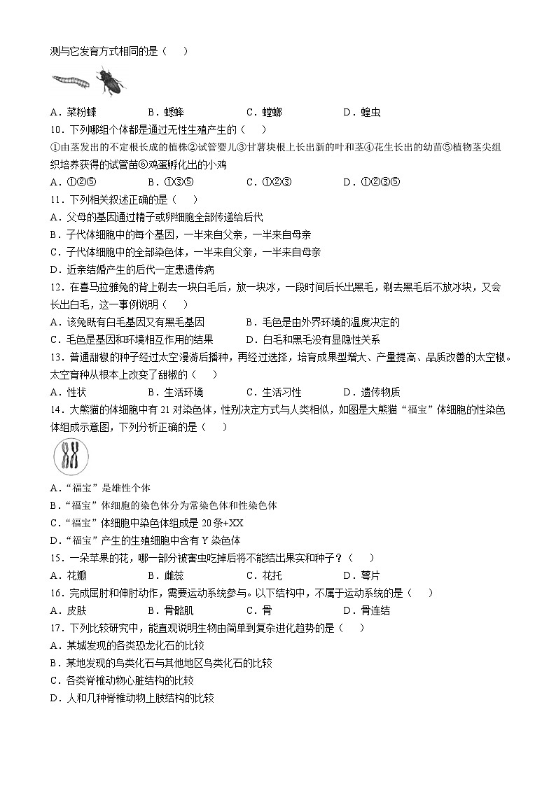 河北省承德市承德县2024-2025学年八年级上学期12月月考生物试题（B卷）第2页