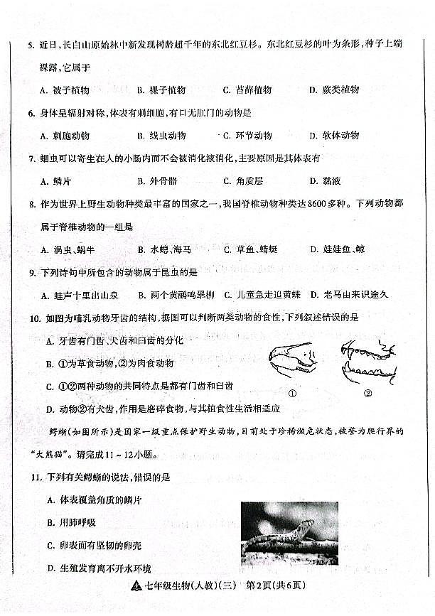 山西省晋中市左权县24-25七年级上学期生物阶段性练习（三）第2页