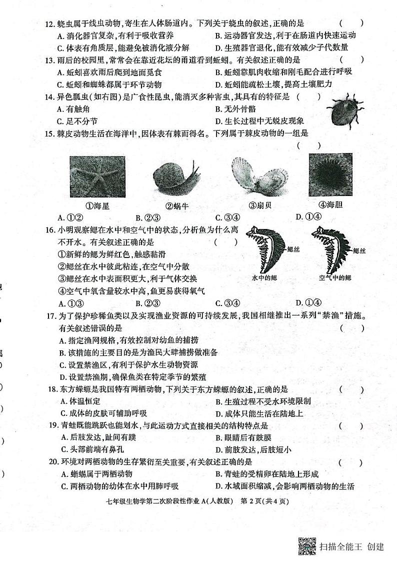 陕西省西安市蓝田县2024-2025学年七年级上学期第二次月考质量检测生物试卷第2页