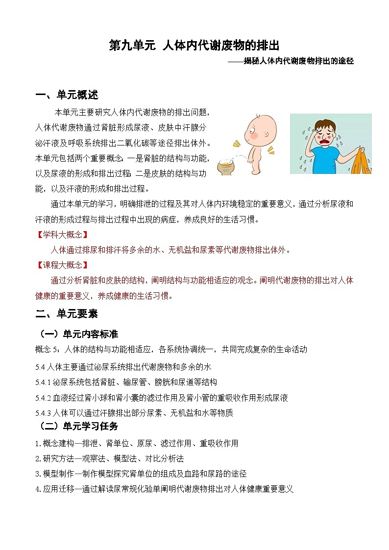 3.4人体内代谢废物的排出-导学案-2023-2024学年济南版生物七年级下册第2页
