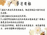 3.1.2消化和吸收课件2023-2024学年济南版初中生物七年级下册