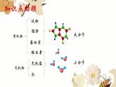 3.1.2消化和吸收课件2023-2024学年济南版初中生物七年级下册