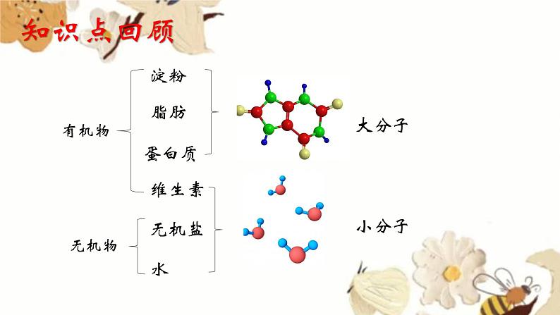 3.1.2消化和吸收课件2023-2024学年济南版初中生物七年级下册第4页