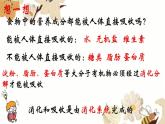 3.1.2消化和吸收课件2023-2024学年济南版初中生物七年级下册