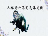 3.2.1人体与外界的气体交换课件-2023-2024学年济南版生物七年级下册