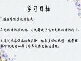 3.2.1人体与外界的气体交换课件-2023-2024学年济南版生物七年级下册