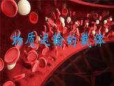 3.3.1物質(zhì)運輸?shù)妮d體課件-2023-2024學(xué)年濟南版生物七年級下冊