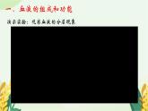 3.3.1物質(zhì)運輸?shù)妮d體課件-2023-2024學(xué)年濟南版生物七年級下冊
