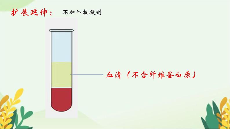 3.3.1物质运输的载体课件-2023-2024学年济南版生物七年级下册第7页