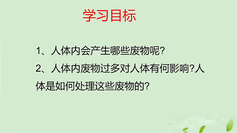 3.4.1尿液的形成和排出课件-2023-2024学年济南版生物七年级下册第2页