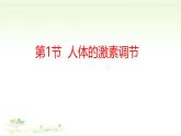 3.5.1人体的激素调节课件-2023-2024学年济南版生物七年级下册