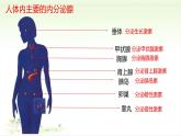 3.5.1人体的激素调节课件-2023-2024学年济南版生物七年级下册