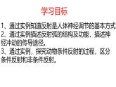 3.5.3神經(jīng)調(diào)節(jié)的基本方式課件-2023-2024學(xué)年濟南版生物七年級下冊