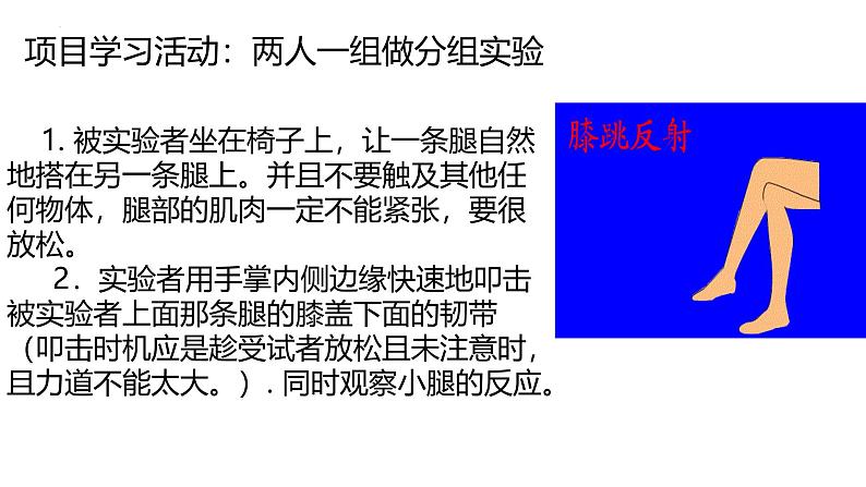 3.5.3神经调节的基本方式课件-2023-2024学年济南版生物七年级下册第6页