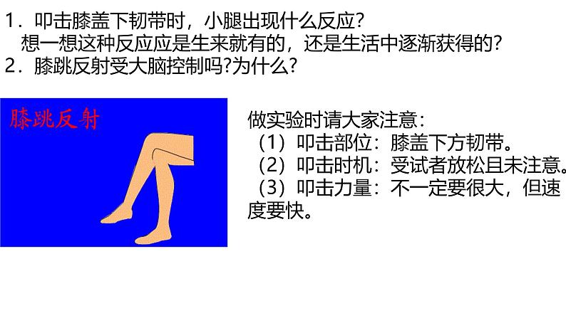 3.5.3神经调节的基本方式课件-2023-2024学年济南版生物七年级下册第7页