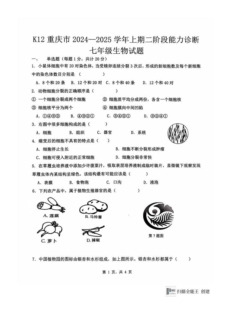 2024～2025学年重庆市巴南区市实验集团七年级(上)12月二阶段能力诊断生物试卷(含答案)第1页