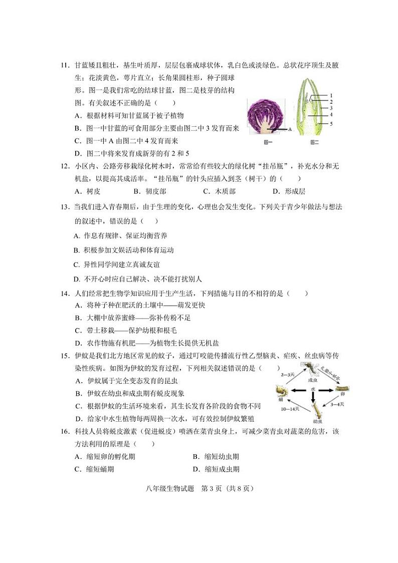 2024～2025学年山东省济南市东南片区八年级(上)期中生物试卷(含答案)第3页