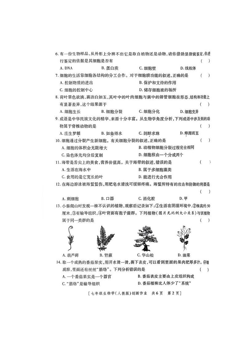 2024～2025学年陕西省咸阳市永寿县御家宫中学七年级(上)第三阶段创新作业生物试卷(含答案)第2页