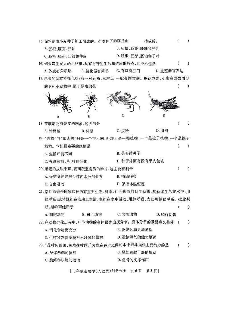 2024～2025学年陕西省咸阳市永寿县御家宫中学七年级(上)第三阶段创新作业生物试卷(含答案)第3页