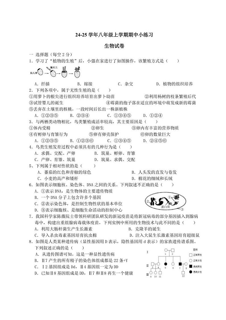 2024～2025学年四川省眉山市东坡区苏辙中学八年级(上)期中生物试卷(含答案)第1页