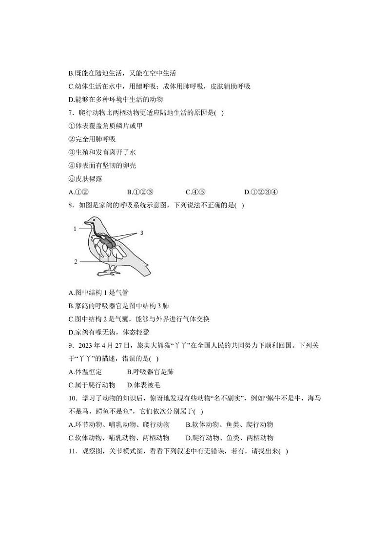 2024～2025学年四川省南充市白塔中学八年级(上)10月月考生物试卷(含解析)第2页