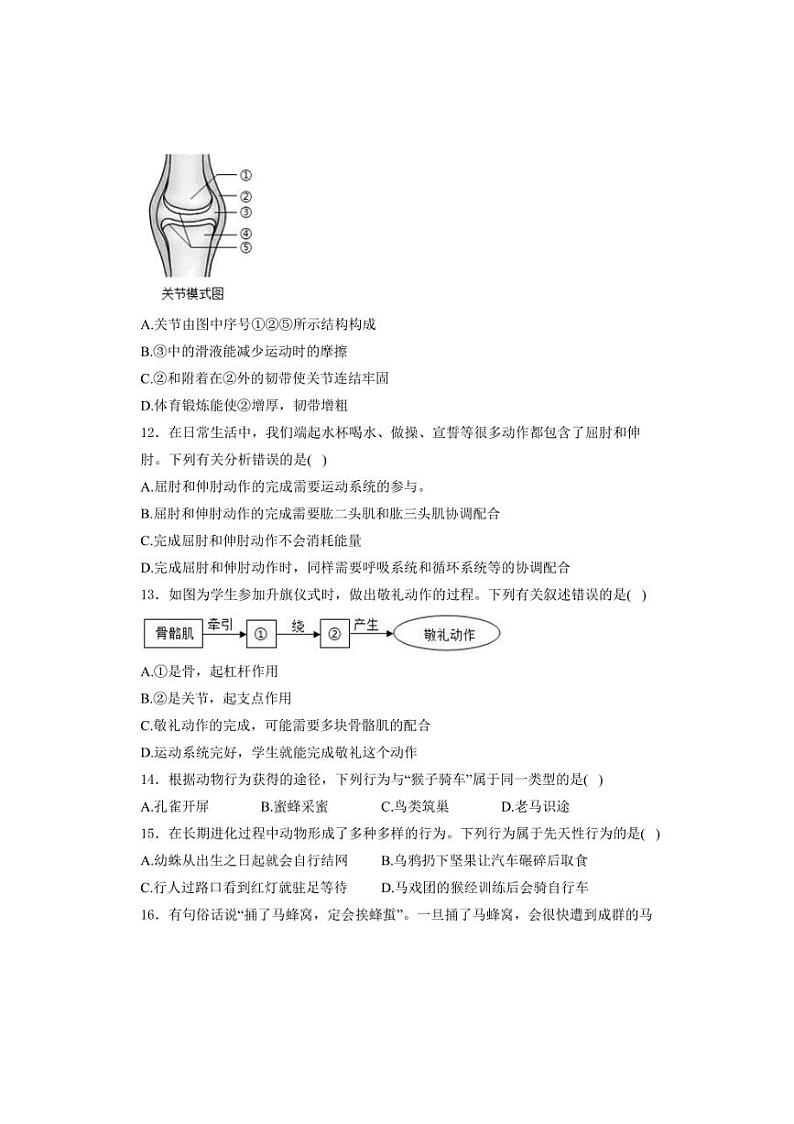 2024～2025学年四川省南充市白塔中学八年级(上)10月月考生物试卷(含解析)第3页