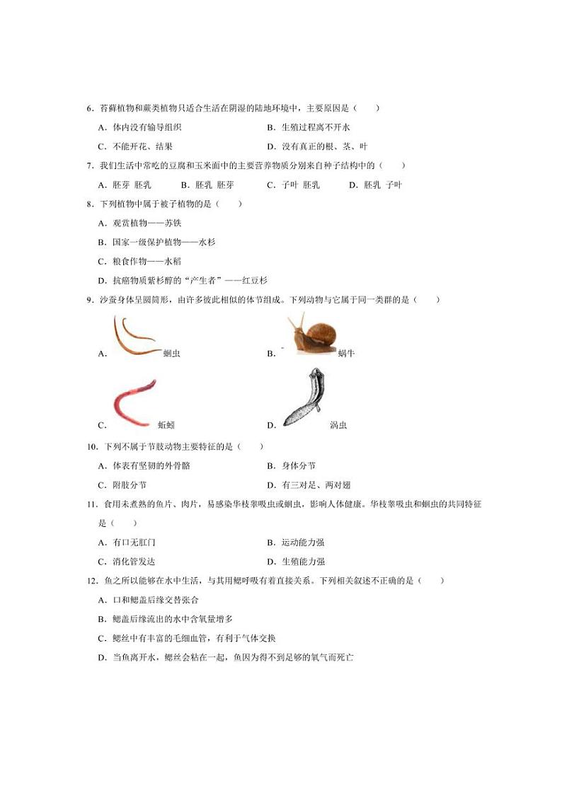 2024～2025学年广东省东莞市常平镇新城学校七年级(上)第14周限时生物作业试卷(含答案)第2页