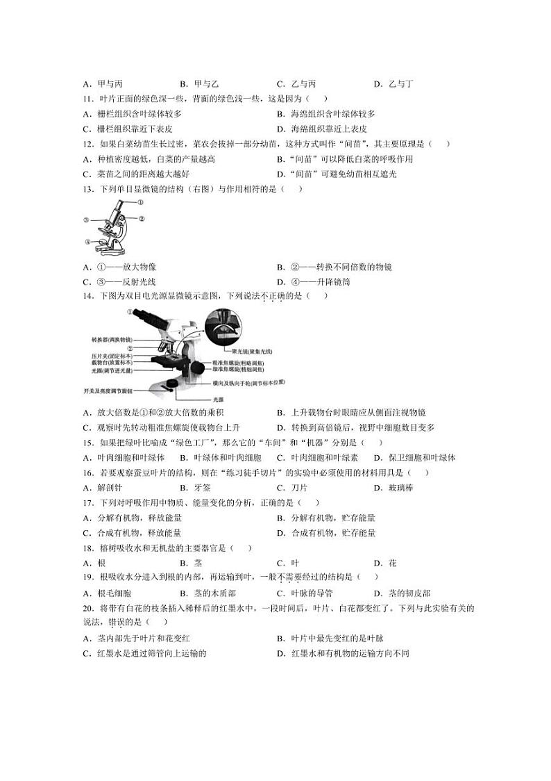 2024～2025学年河北省廊坊市七年级(上)11月阶段评估(月考)(二)生物试卷(含答案)第2页