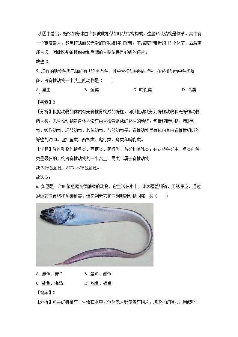 云南省开远市第一中学校2024-2025学年八年级上学期期中生物试卷（解析版）第3页