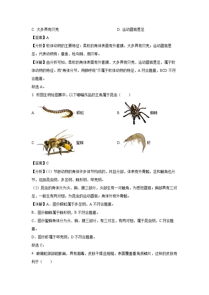 云南省曲靖市宣威市第一中学2024-2025学年八年级上学期期中生物试卷（解析版）第2页