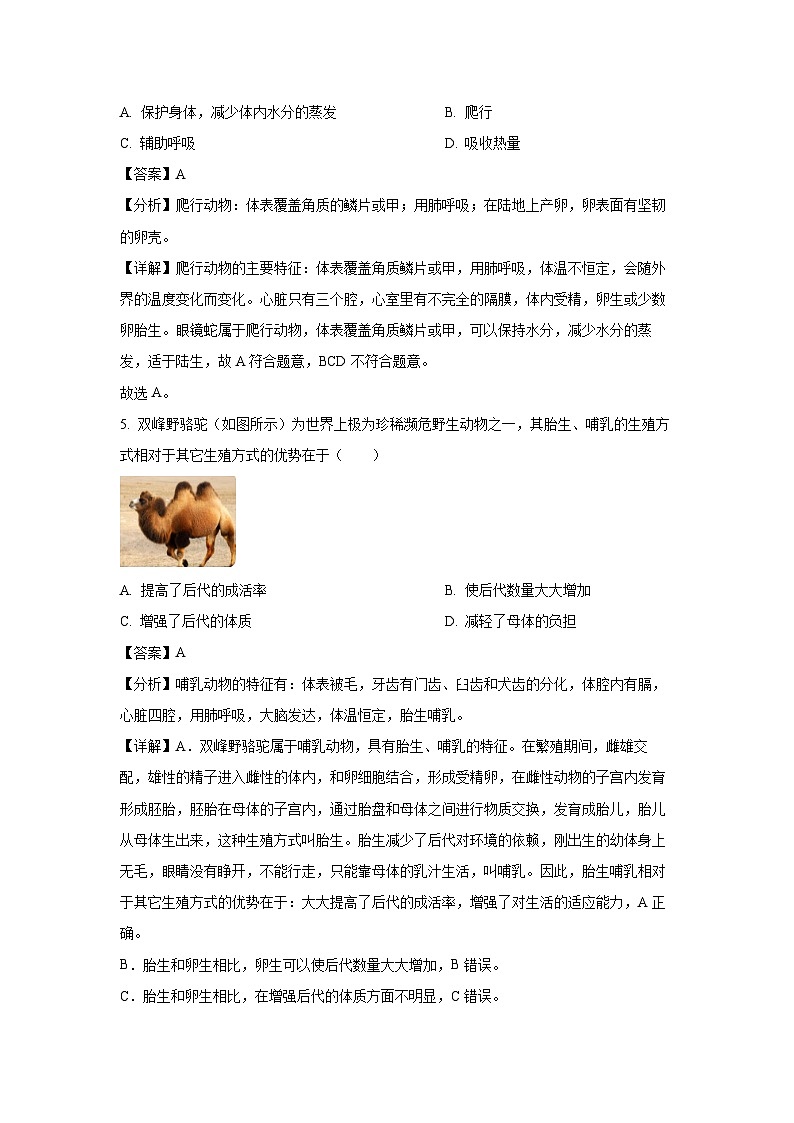 云南省曲靖市宣威市第一中学2024-2025学年八年级上学期期中生物试卷（解析版）第3页