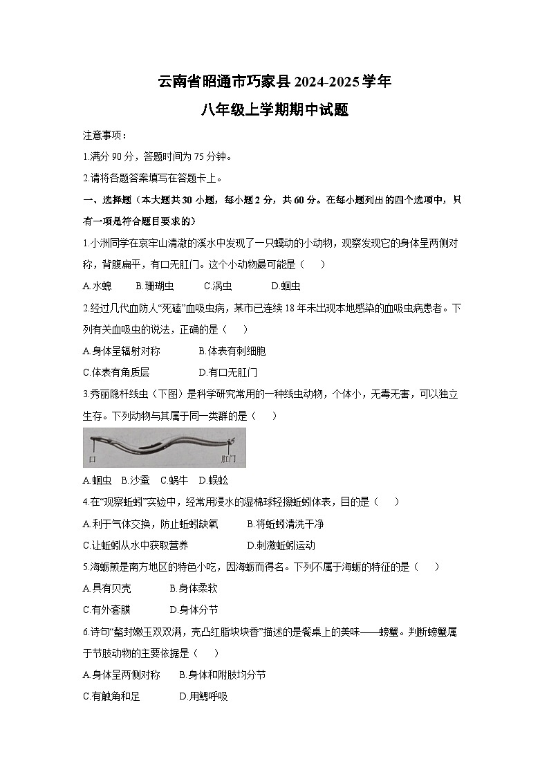 云南省昭通市巧家县2024-2025学年八年级上学期期中生物试卷第1页