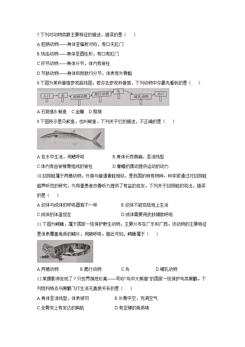 云南省昭通市巧家县2024-2025学年八年级上学期期中生物试卷第2页