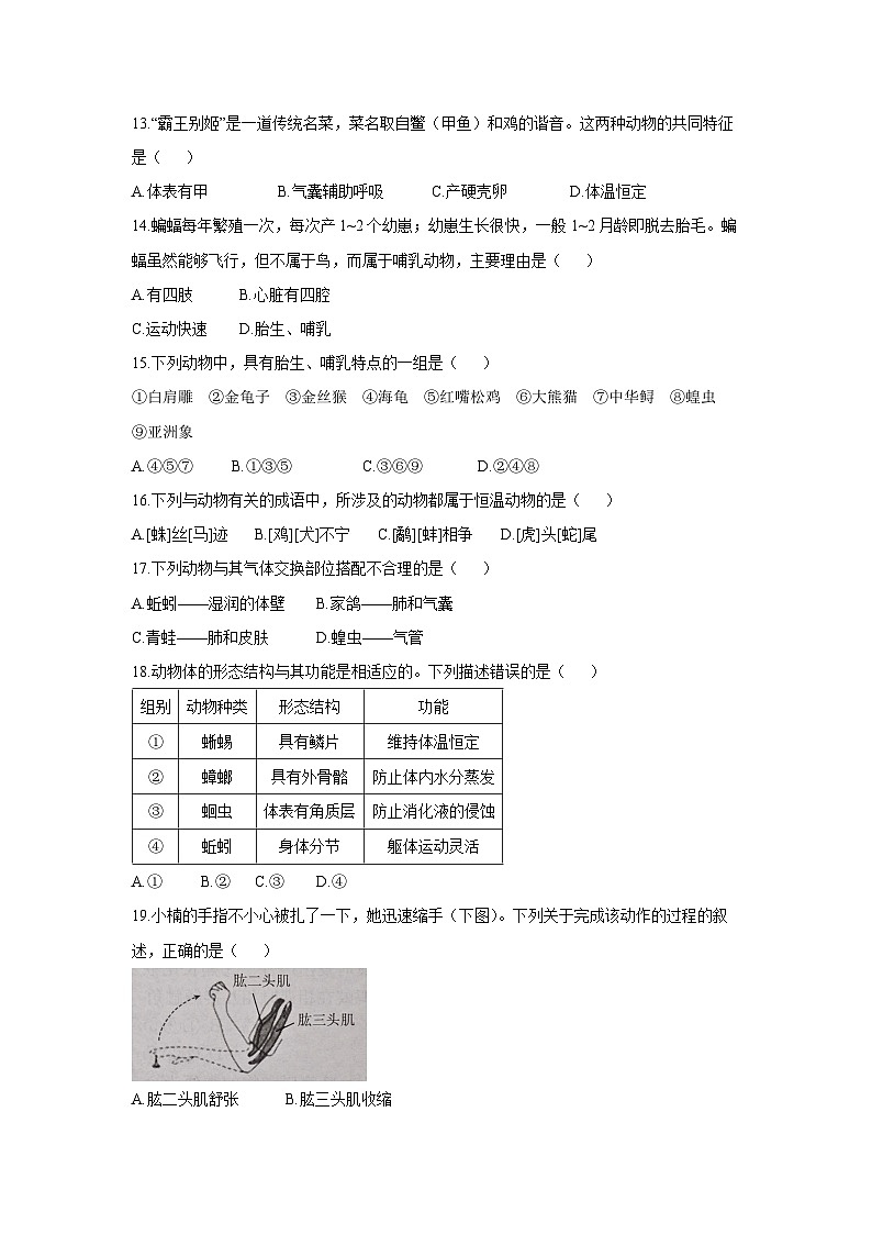 云南省昭通市巧家县2024-2025学年八年级上学期期中生物试卷第3页
