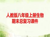 人教版八年级上册生物期末总复习课件