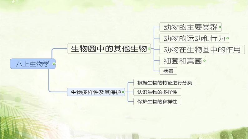 人教版八年级上册生物期末总复习课件第2页