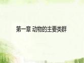 人教版八年级上册生物期末总复习课件